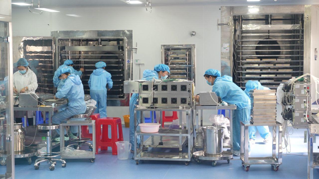 Sala de producción — liofilización y empaque bajo sala limpia